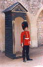 Windsor Castle: guardsman